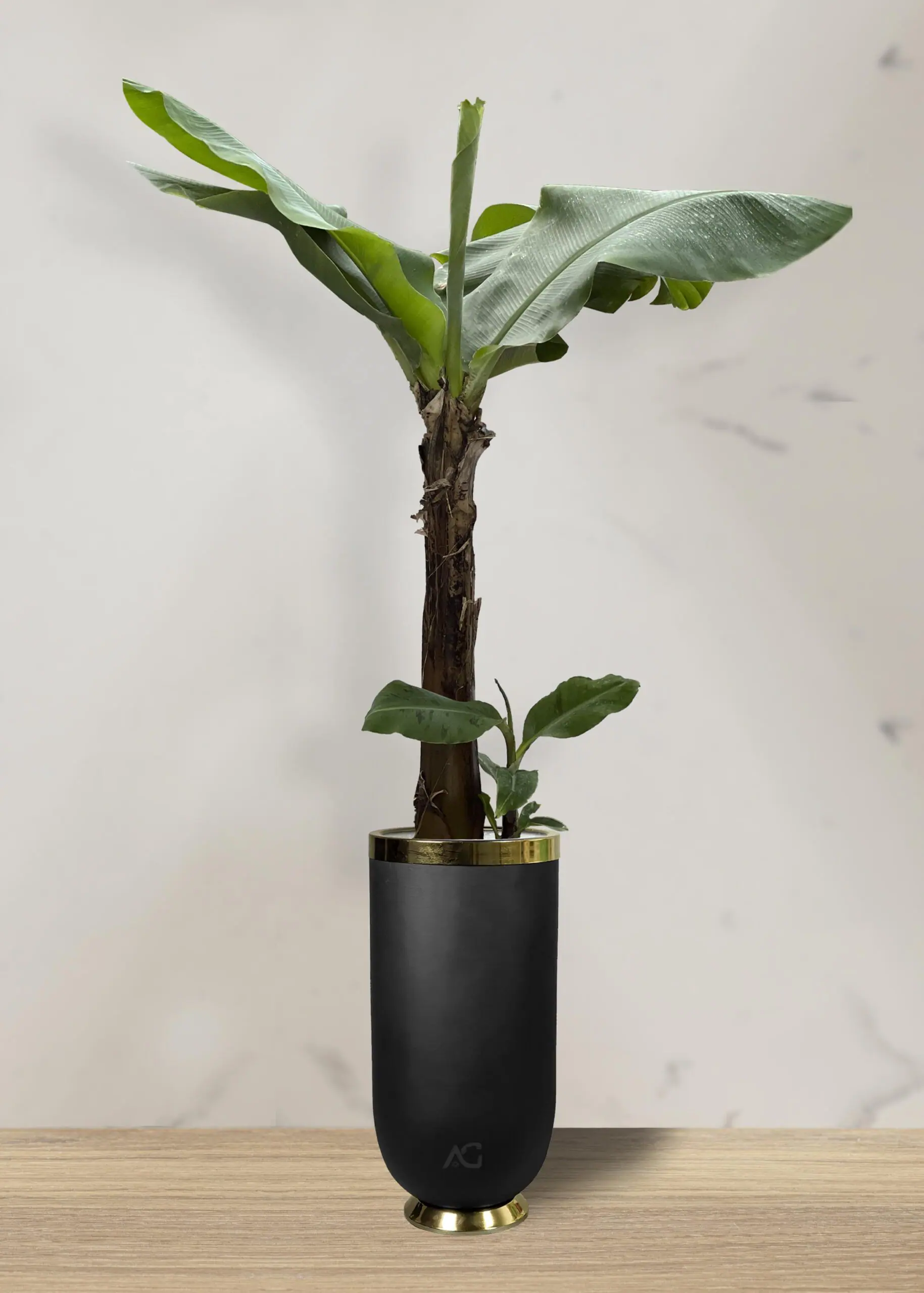 Marble product backdrop showcase