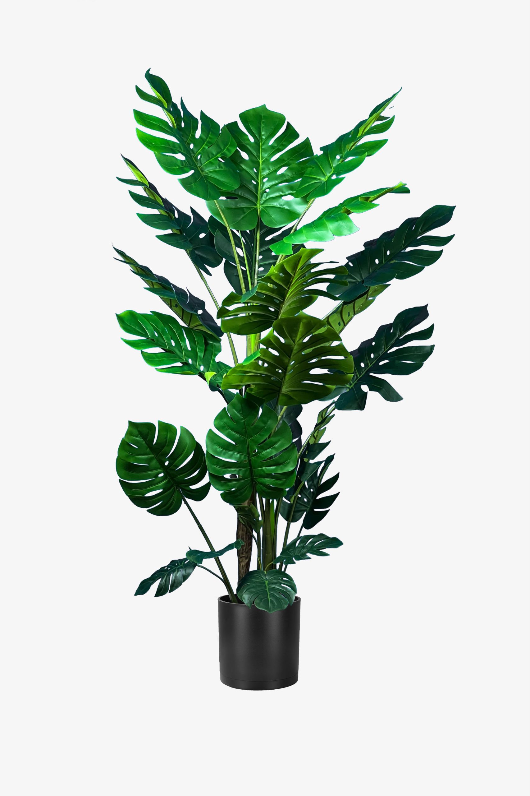 درختچه مصنوعی مانسترا بزرگ