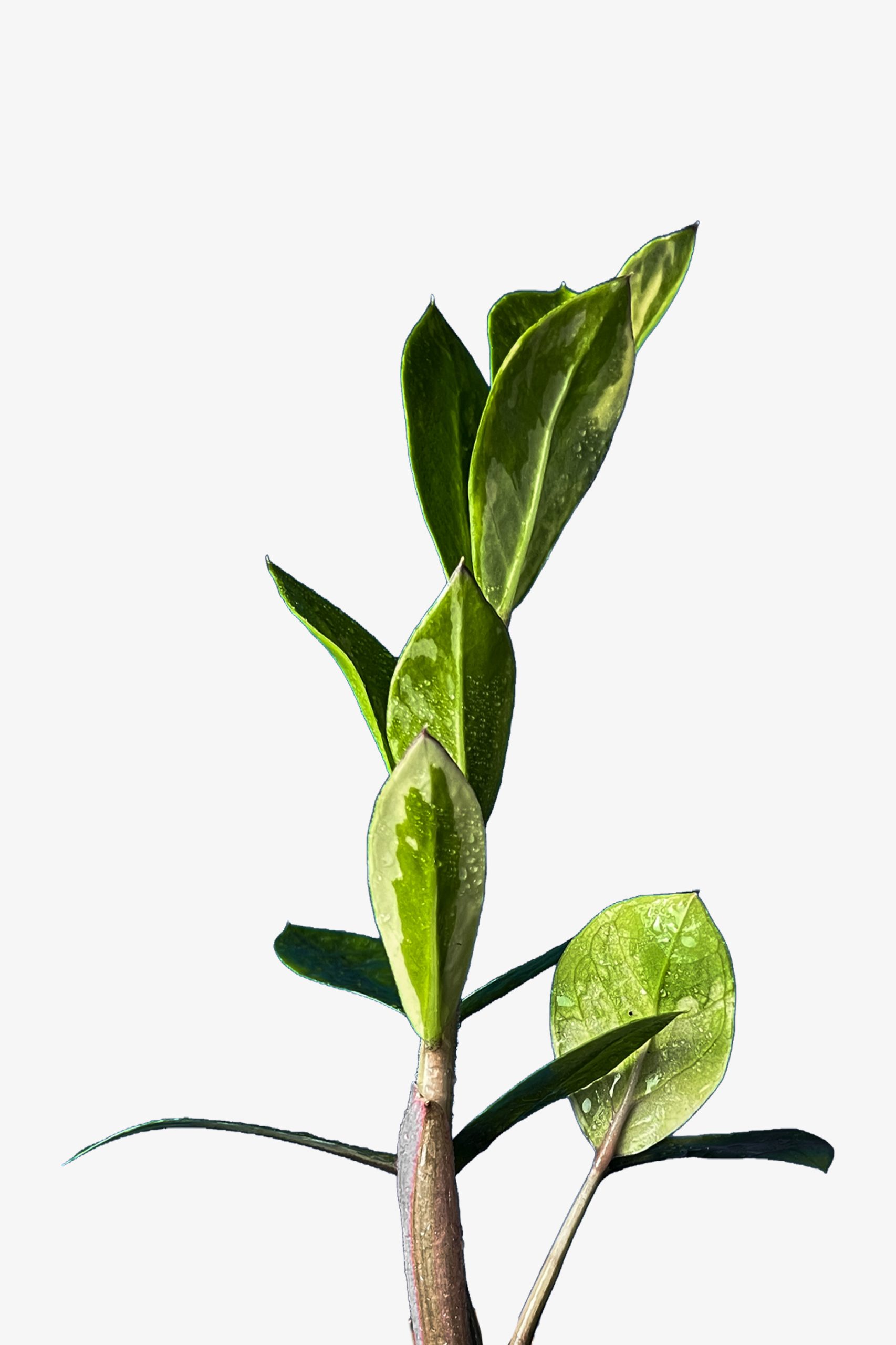 611