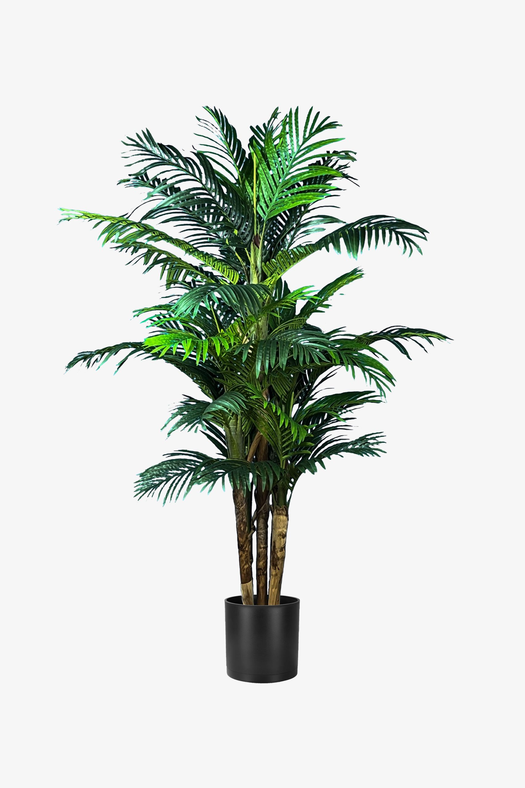 درختچه مصنوعی کنتیا