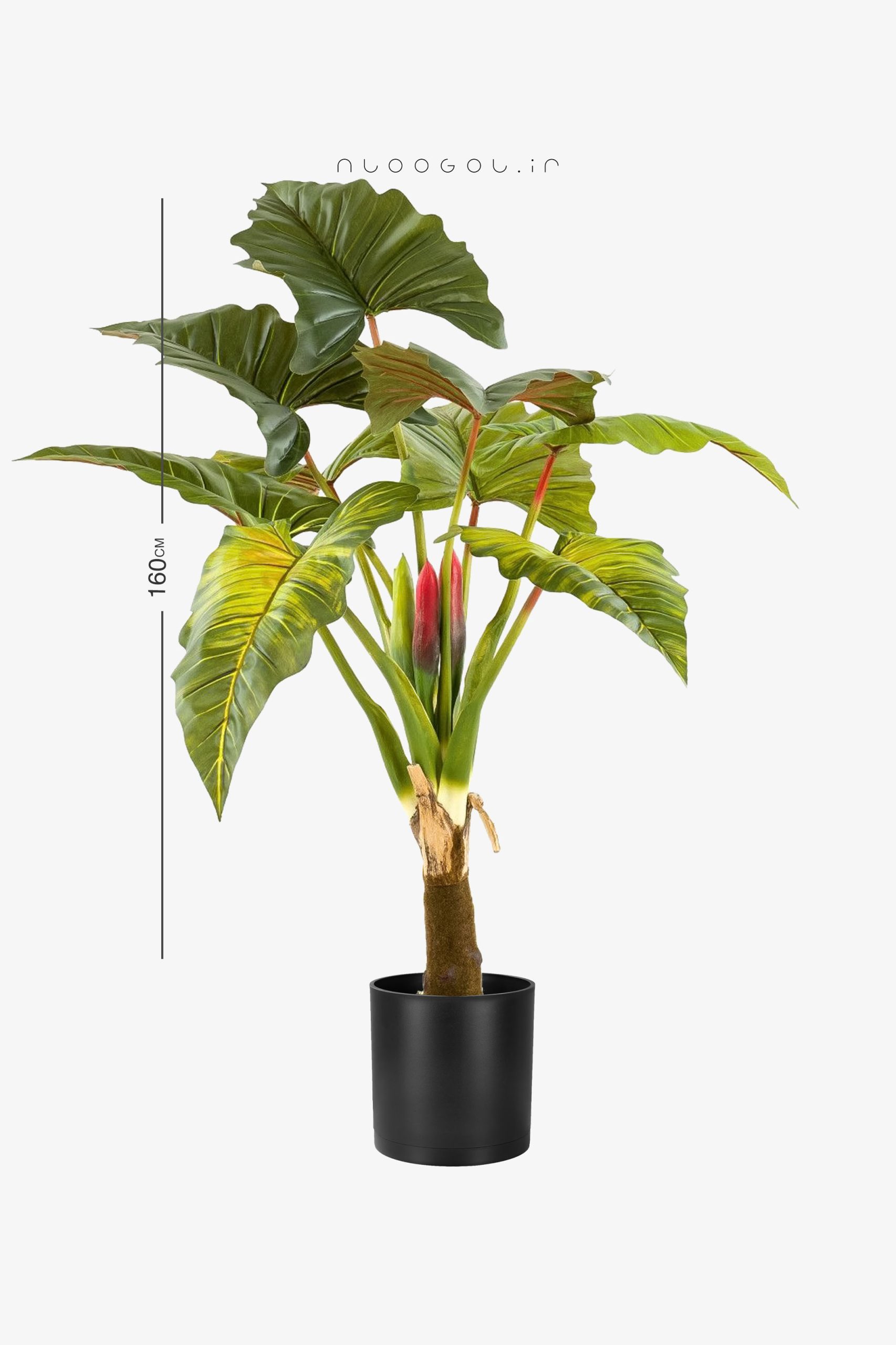 بابا ادم مصنوعی با قد ۱۶۰ سانت