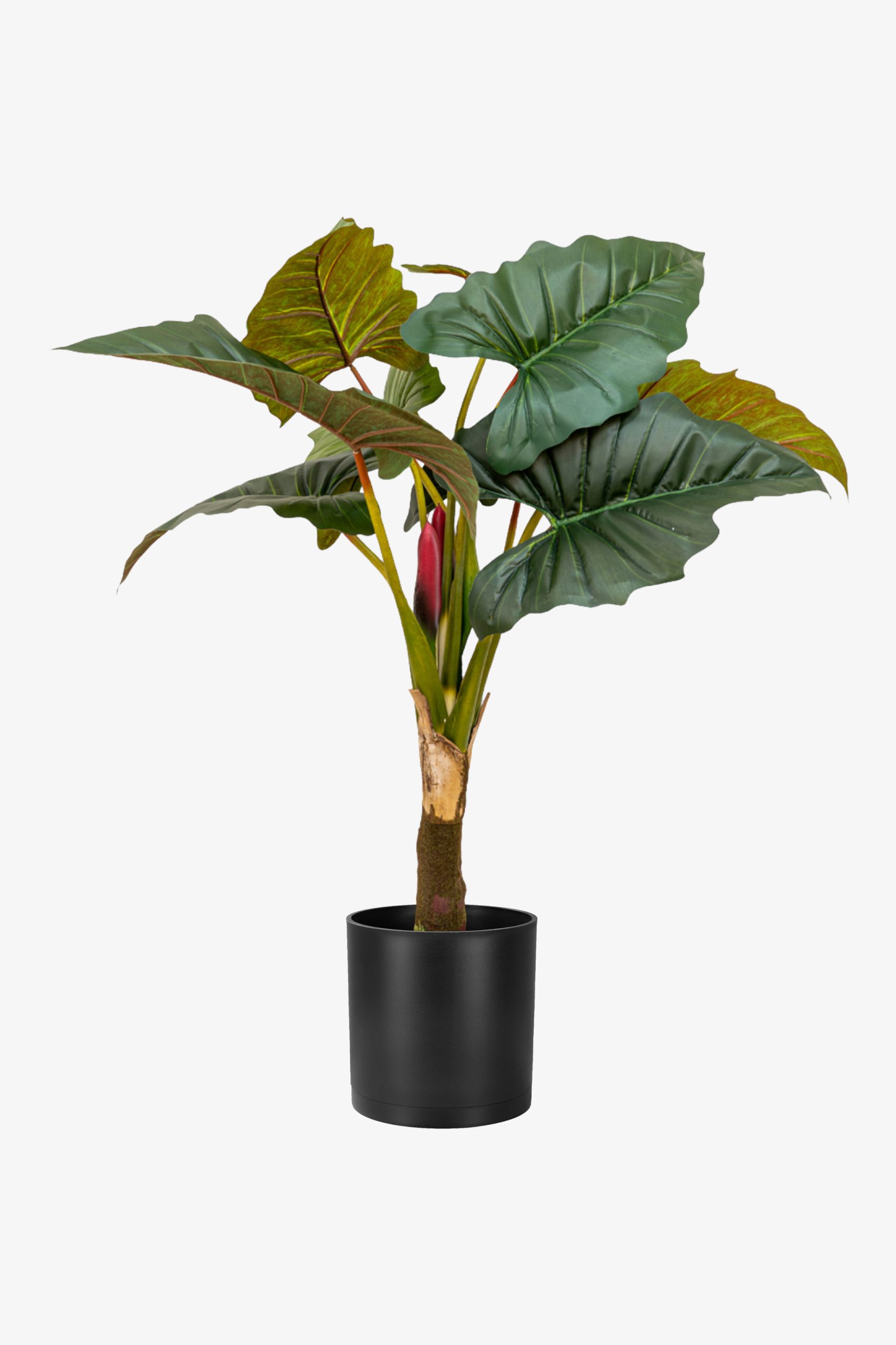 بابا آدم مصنوعی جنس خوب