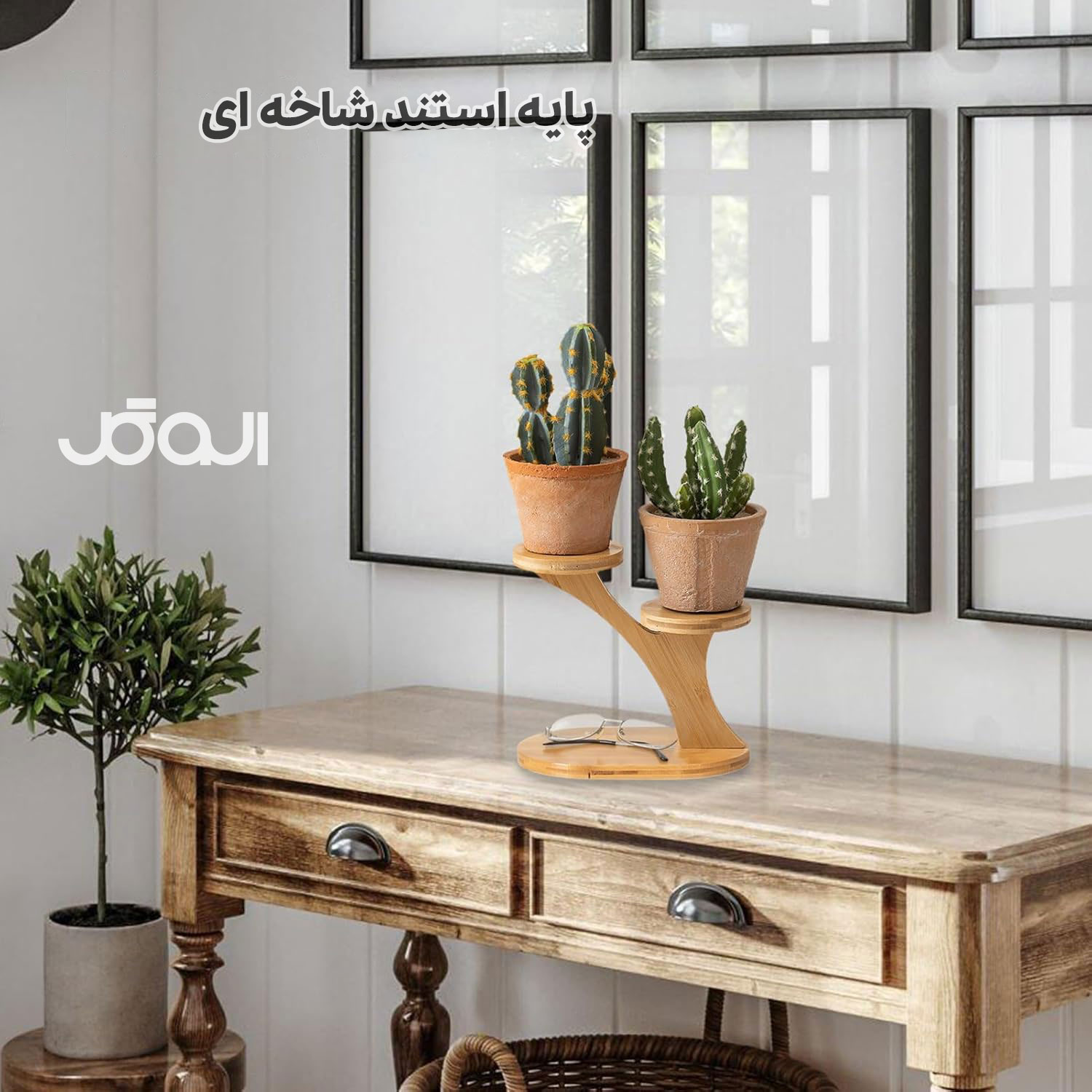 استند و پایه گلدان 2 شاخه z2 — تصویر ۴