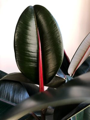 ea549a70629ad8be4a7f7b943e565361