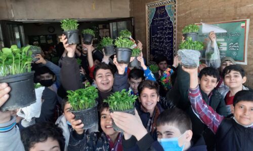 سبزه عید دانش آموزی